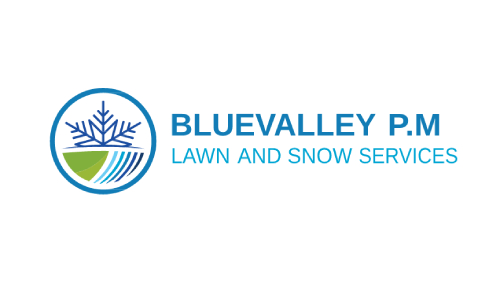 Bluevalley Logo